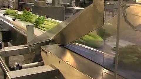 FLOW PACK MACHINE FOR ELONGATED PRODUCTS, MOD  GALAXY