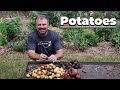 How to grow potatoes in grow bags