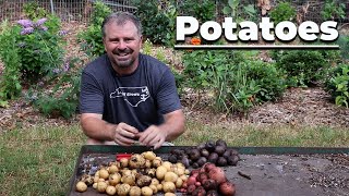 How to Grow Potatoes in Grow Bags