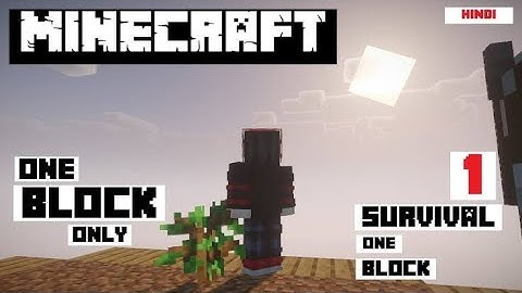 Minecraft One Block Sky Block Time Lapse Series//Episode 1//A New Start