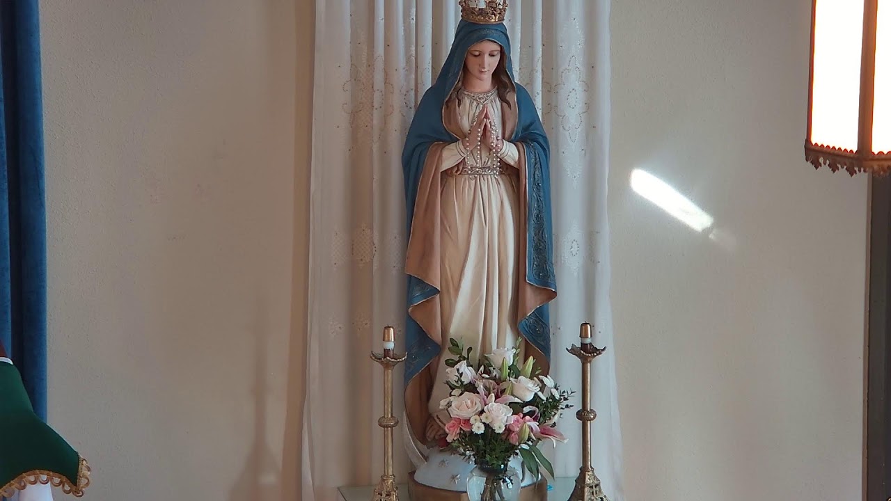 Rosary, August 22, 2024