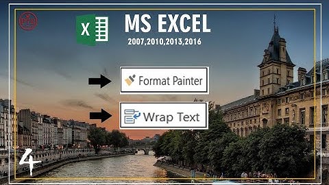 Format Painter And Wrap Text in Excel In Hindi |