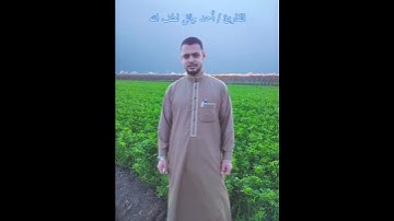 " ونزلنا من السماء ماءا مباركاً " 🌧️🌺 | سورة ق | أحمد وائل لطف الله |