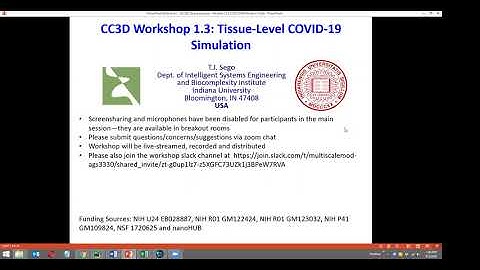 CC3D Workshop 1.3 Tissue-Level COVID-19 Simulation
