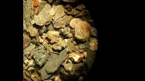 Overview Chapter 7 Part 2 Formation Eval.