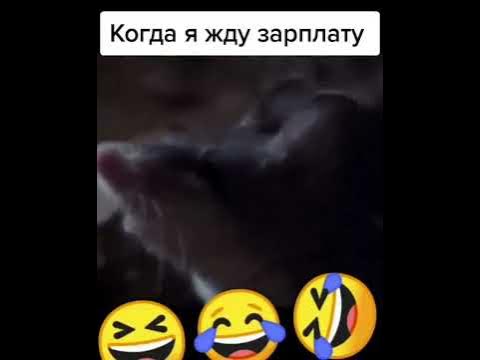 как я жду зарплату #как #я #жду #зарплата #мем #юмор #meme #mem #memes ...