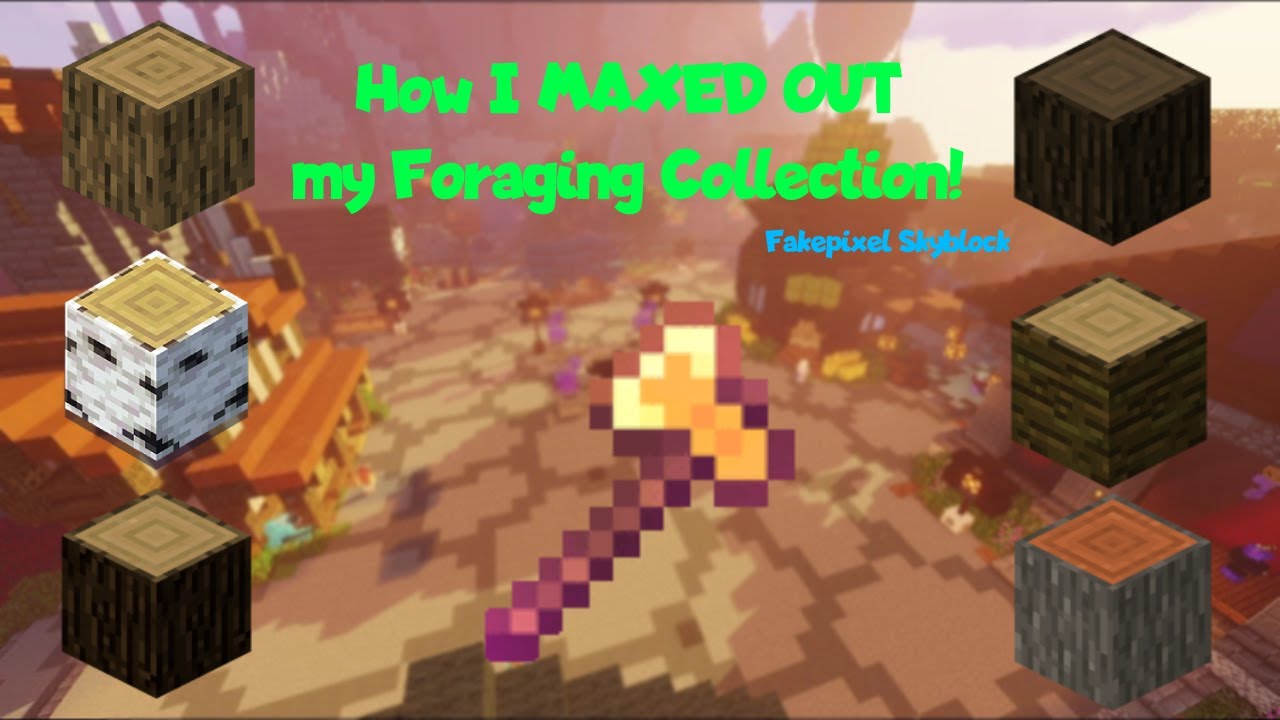 how-i-maxed-out-my-foraging-collection-fakepixel-skyblock-youtube