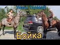 мына ИШЕНИЧТҮҮ БОЙКА менен ТОРУ ДҮЙШӨКЕДЕ 🐎1 августа 2021 г.