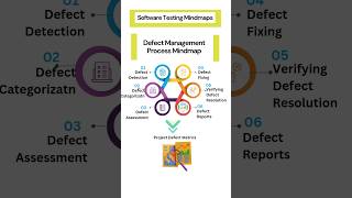 Software Testing Mindmaps Part#11 - Defect Management Process Mindmap ! Learn On The Go!