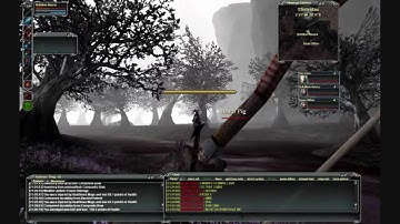 [Darkfall] DMT Revinoff (BKB Teleporting)