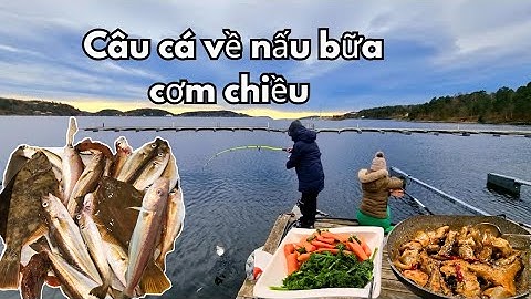 Ra biển câu cá, không tốn tiền vẫn có bữa cơm ngon