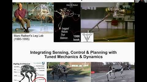 Terradynamics of Dynamic Multi-Legged Locomotion in Complex Terrain, 2022 APS March Meeting