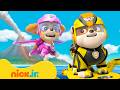 Patrulha Canina | Aventuras ao ar livre com Rubble, Zuma e Skye! | Nick Jr. em Português