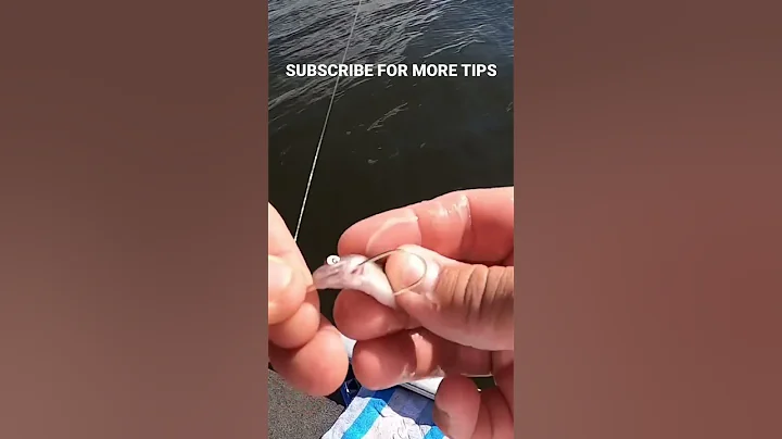 How I Hook My Minnows For Crappie Fishing #shorts