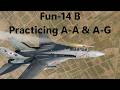 Real fun but I need more practice! / DCS