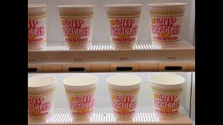 BINJ: Cup of Noodles Museum