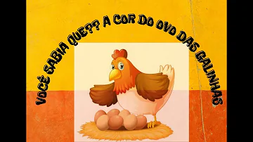 O que define a cor do ovo de galinha?