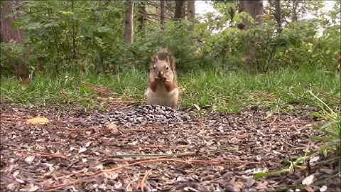 Audio Visual Catnip October Of 2018