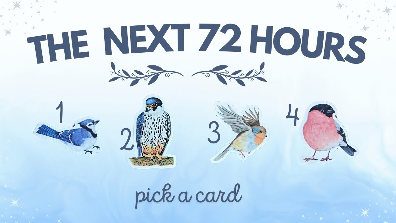 ✨ The Next 72 Hours! Predictions! 🔮✨ | PICK A CARD Timeless Tarot Reading