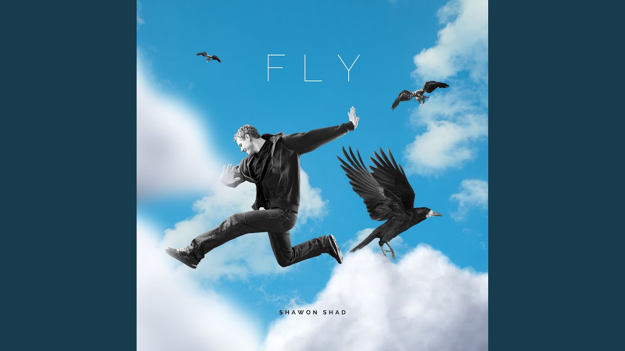 在 YouTube 上观看 Fly