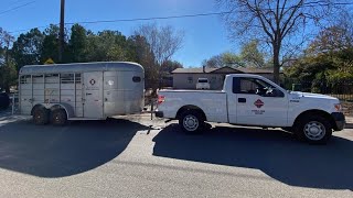 200 roosters, hens seized on South Side of San Antonio