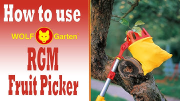 How To Use The Wolf Garten Adjustable Fruit Picker RGM