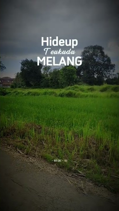 Story Wa Jang Lagu Sunda