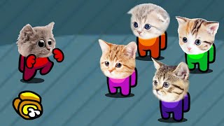 Among Us But It&#39;s Impostor Cats (Distraction Dance Animation)