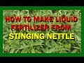 STINGING NETTLE FERTILIZER - HOW TO MAKE LIQUID FERTILIZER FROM STINGING NETTLE