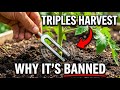 One "Specific" Frequency Triples Your Harvest — Why Is It Forbidden?