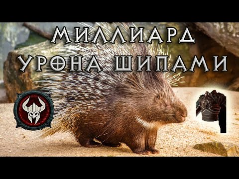 Видео: Лучший билд варвара: шипы!