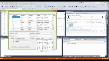 21 Visual Basic 2015 Custom Date Format & Testing Form Functionality