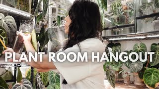 Checking on propagations, past repots, and imports