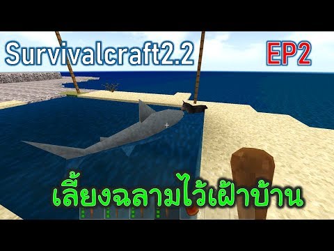 Roblox Sharkbite 5 เร อไททาน คไฮสป ด Vs ฉลาม เส ยเง น 10 000 Robux Youtube - หน ฉลามย กษ บนเร อไททาน ค roblox invidious