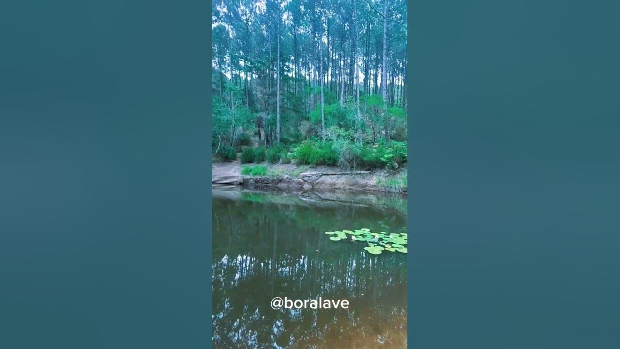 Natureza Incrível: Areia Movediça