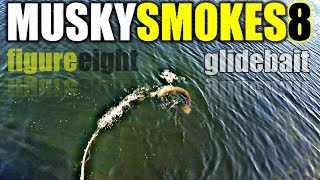 45 Inch Illinois MUSKY SMOKES the FIGURE 8! Muskie Eats Glider On The EIGHT! Bait Gets T-BONED!!!