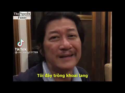 Video Bài ca vô lý : 