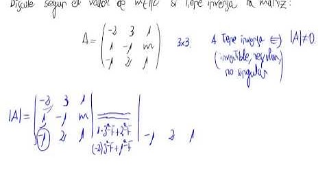 Inversa y parámetros