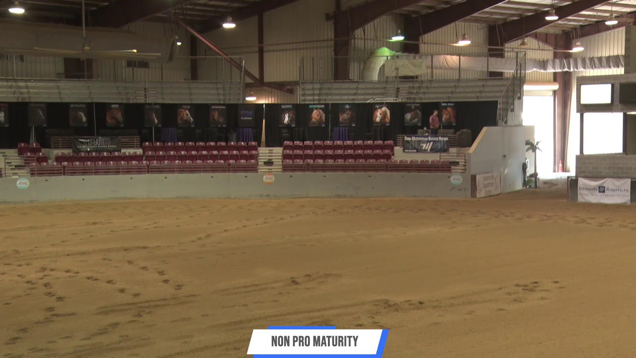 2024 Florida Reining Classic Sunday February 25 YouTube