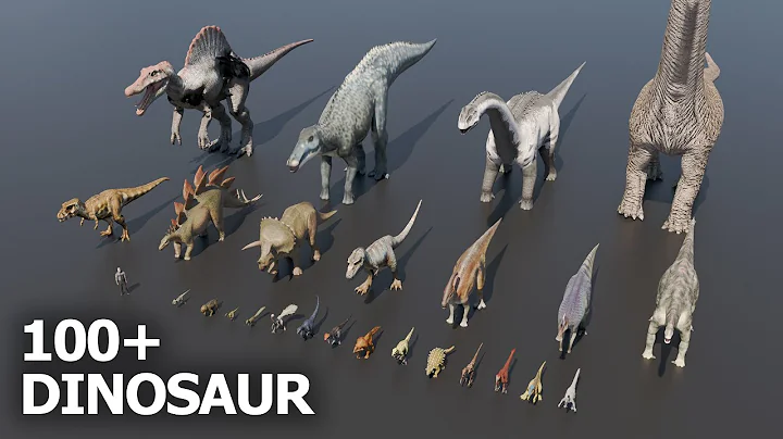 NEW! Real Scale of Dinosaur Size Comparison | 3D (60 FPS)