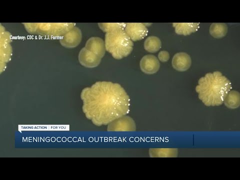 Video: Puteți obține meningococ din vaccin?