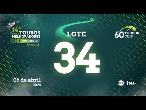 LOTE 34 V3074221 - 14º Leilão de Touros Melhoradores Nelore OL - Edição Virtual