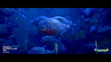 Outing Class 2023 | Video Karyawisata ke DKI Jakarta 2023