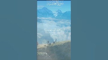أفلا ينظرون إلى الإبل كيف خلقت ||سورة الغاشية