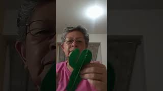 Botanero cactus parte 10