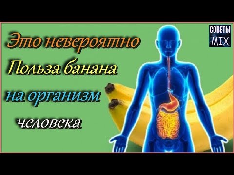 Невероятная польза банана для организма. Вот почему нужно есть бананы каждый день