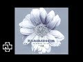 Rammstein - Du riechst so gut (Remix by Günter Schulz (KMFDM) & Hiwatt Marshall) (Official Audio)