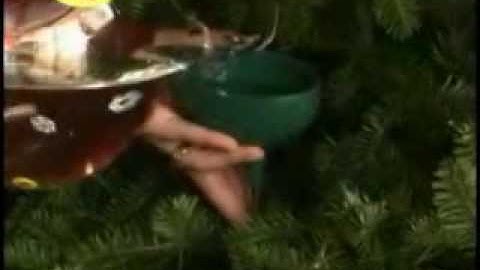 Christmas Tree Waterer - Auto Stop WS02