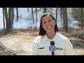 Military program funds wildfire protections in the Pinelands