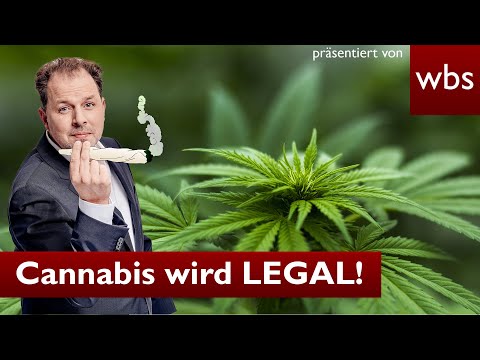 Cannabis wird LEGAL! Ampel gibt Kiffen frei | Anwalt Christian Solmecke